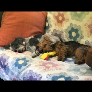 Meet your Posher, Geanette